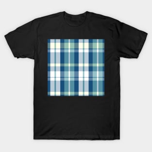 Summer Aesthetic  Aillith 1 Hand Drawn Textured Plaid Pattern T-Shirt